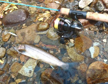 鱒レンジャーを持ってイワナの谷へ